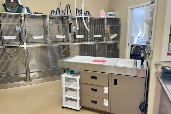 Kennel Area inside  Bracebridge Animal Hospital