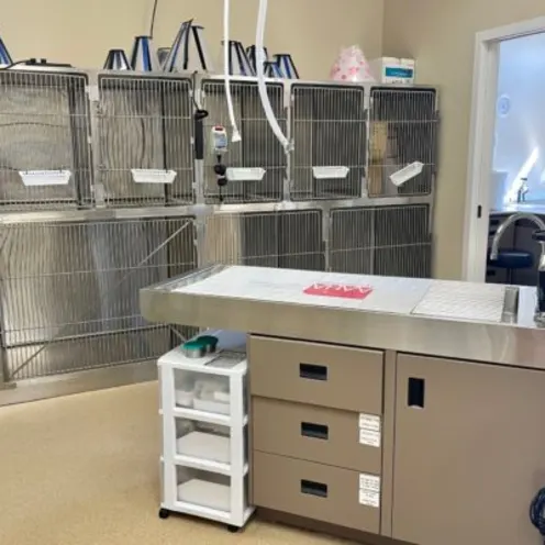 Kennel Area inside  Bracebridge Animal Hospital Kennel Area inside  Bracebridge Animal Hospital