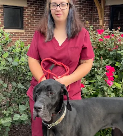 Alexis Foy at Appalachian Animal Hospital