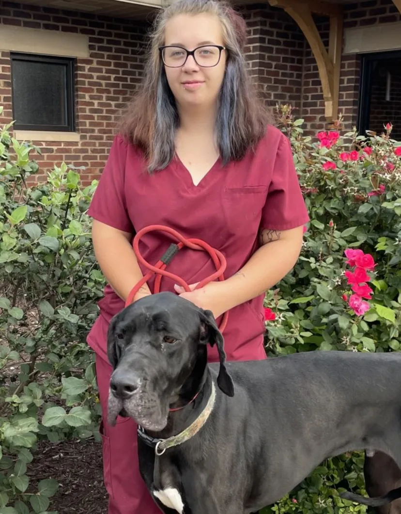 Alexis Foy at Appalachian Animal Hospital