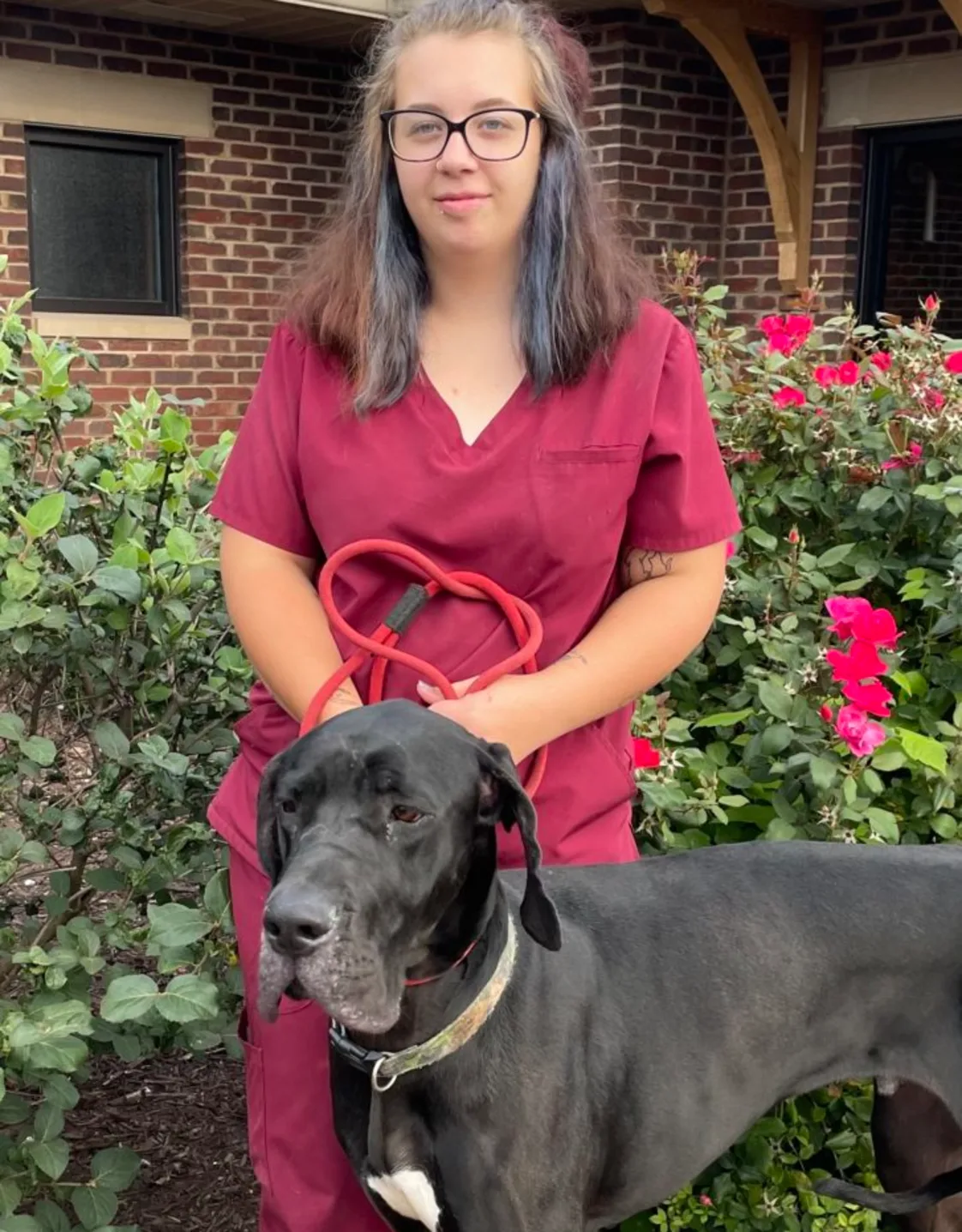 Alexis Foy at Appalachian Animal Hospital Alexis Foy at Appalachian Animal Hospital