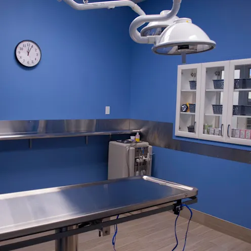 operating room operating room