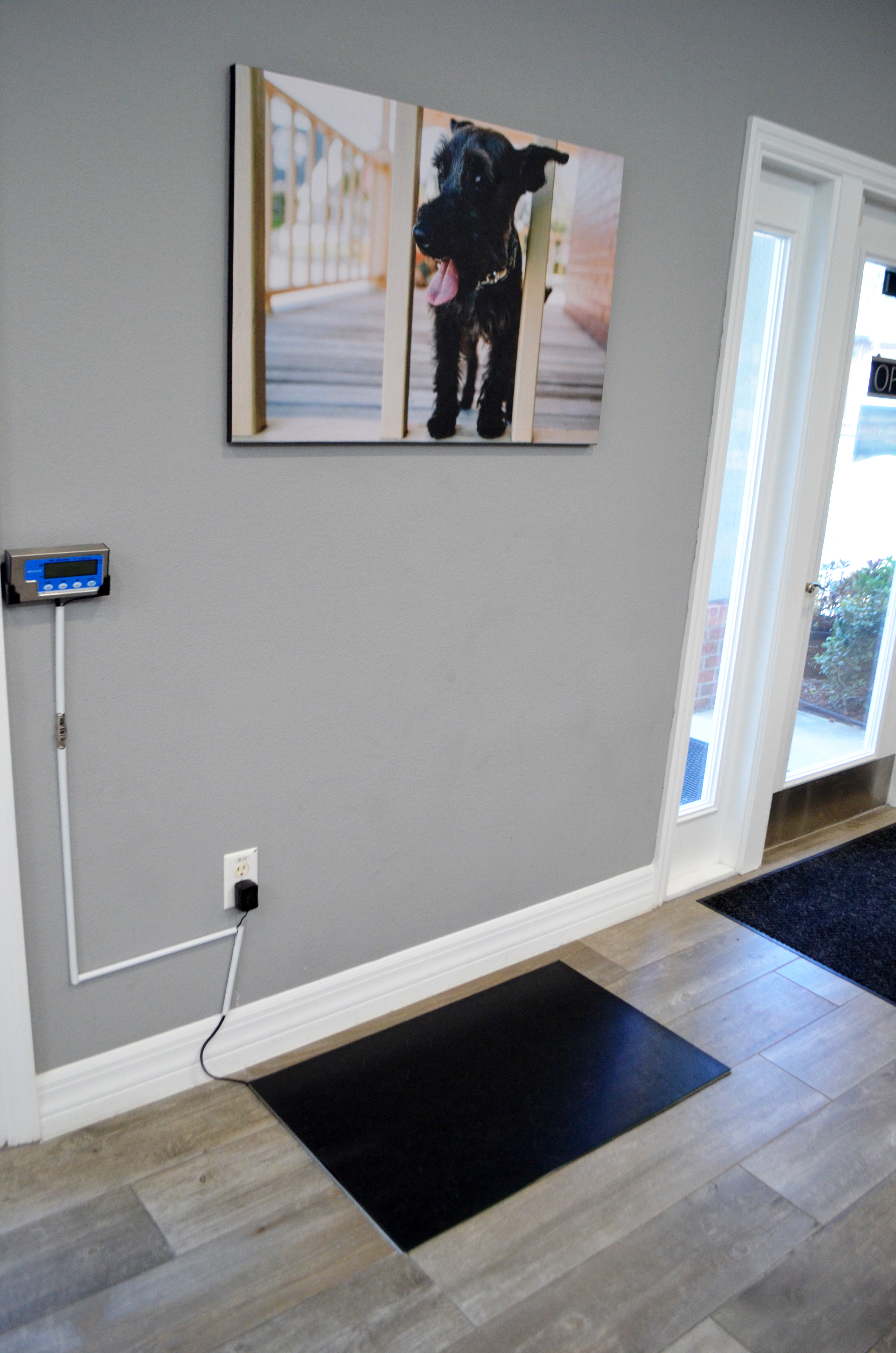 Wellness Center - In Floor Scale