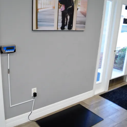 Wellness Center - In Floor Scale Wellness Center - In Floor Scale