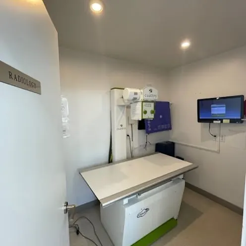 Radiology Room Radiology Room