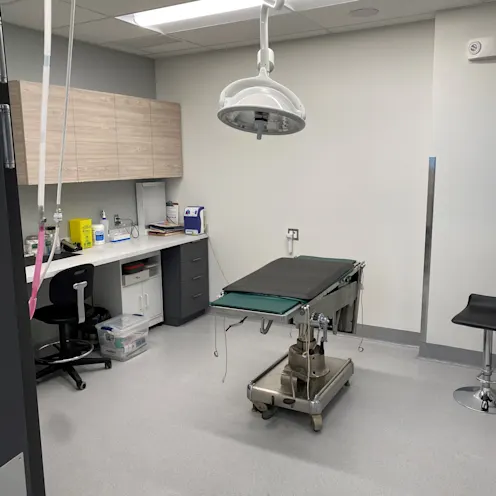 Surgery room at McGilvray Veterinary Hospital.