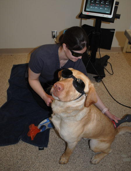 Laser Therapy