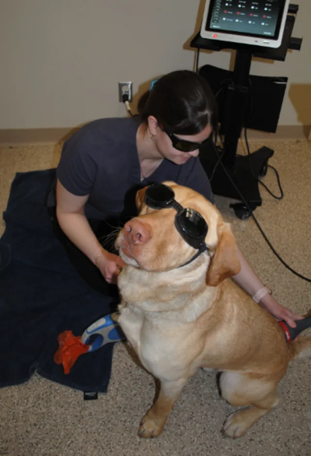 Laser Therapy Laser Therapy