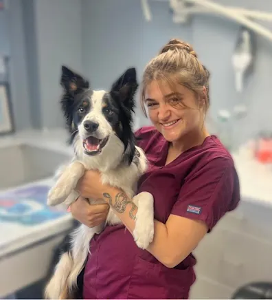 pencil puppy pencil puppy