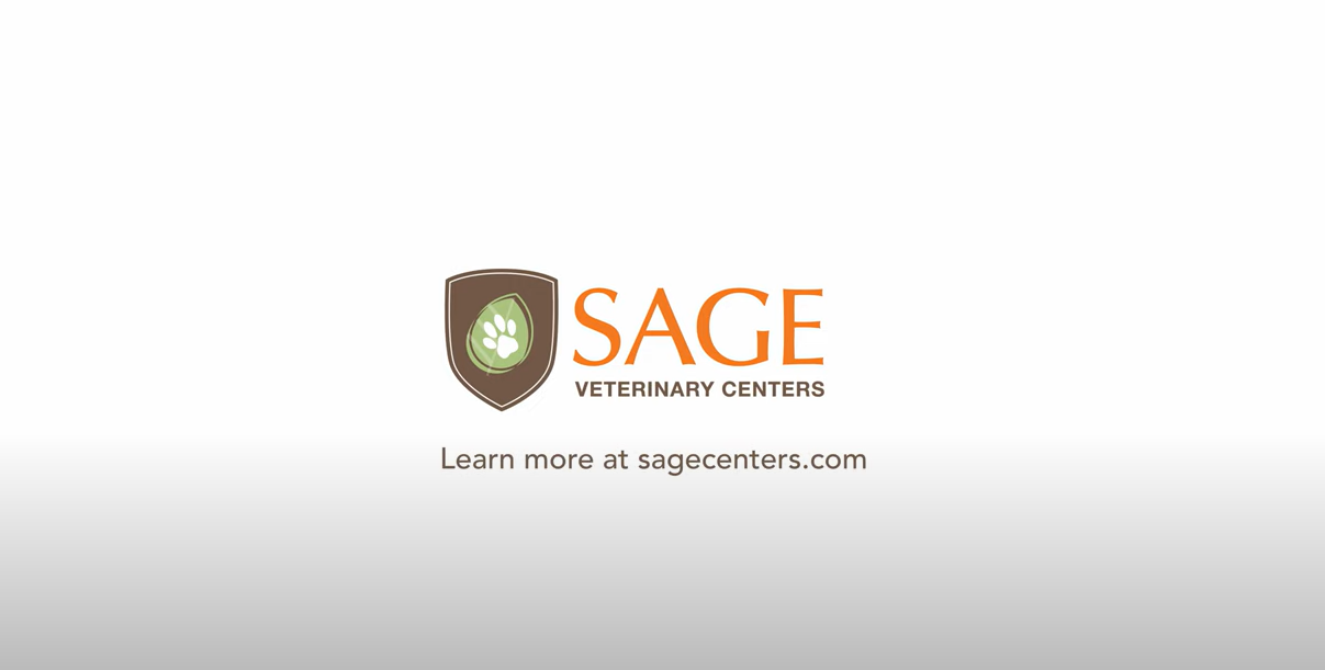  Sage Veterinary Centers Video Thumbnail