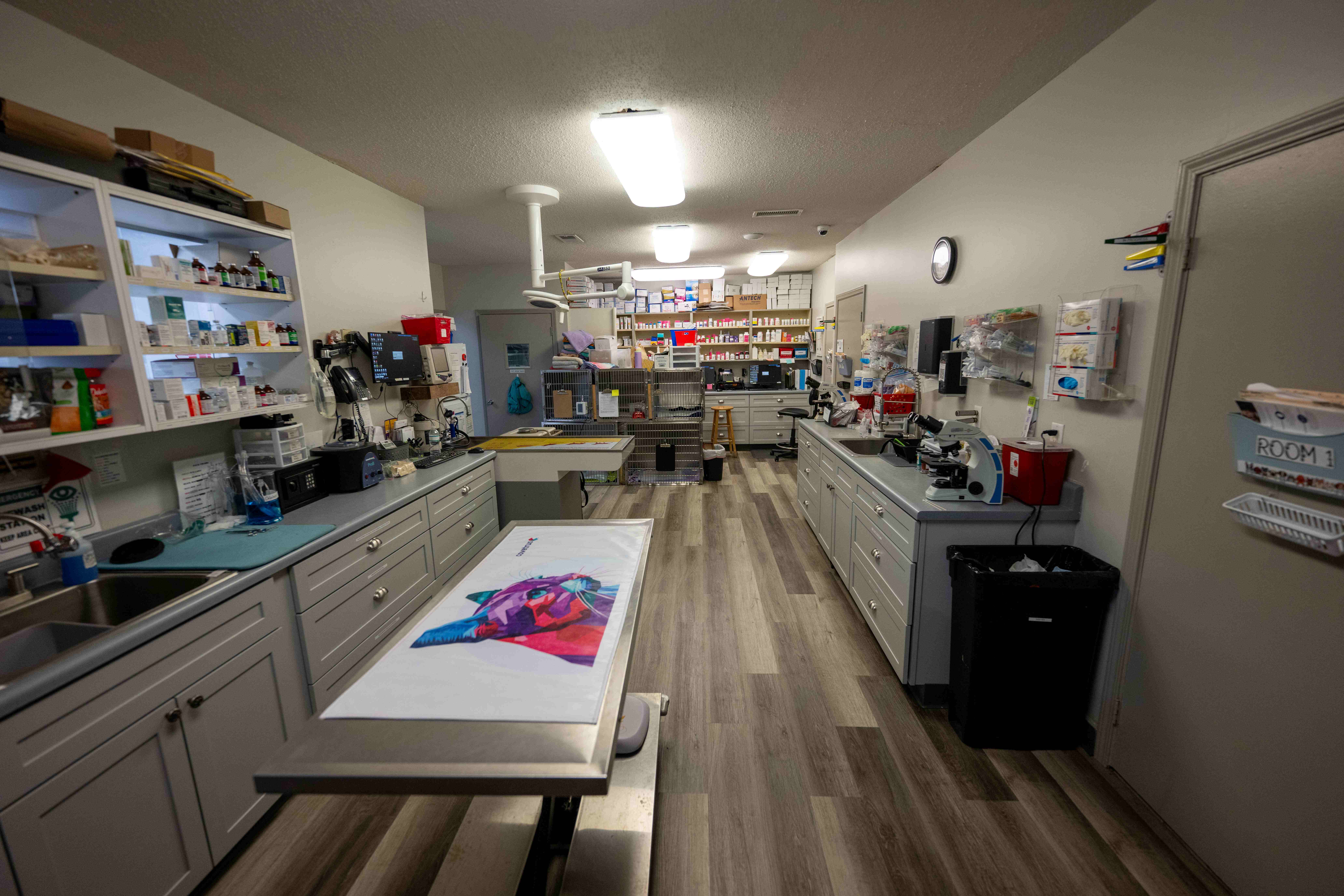 Treatment Area at Animal Medical Center - Tuscaloosa 