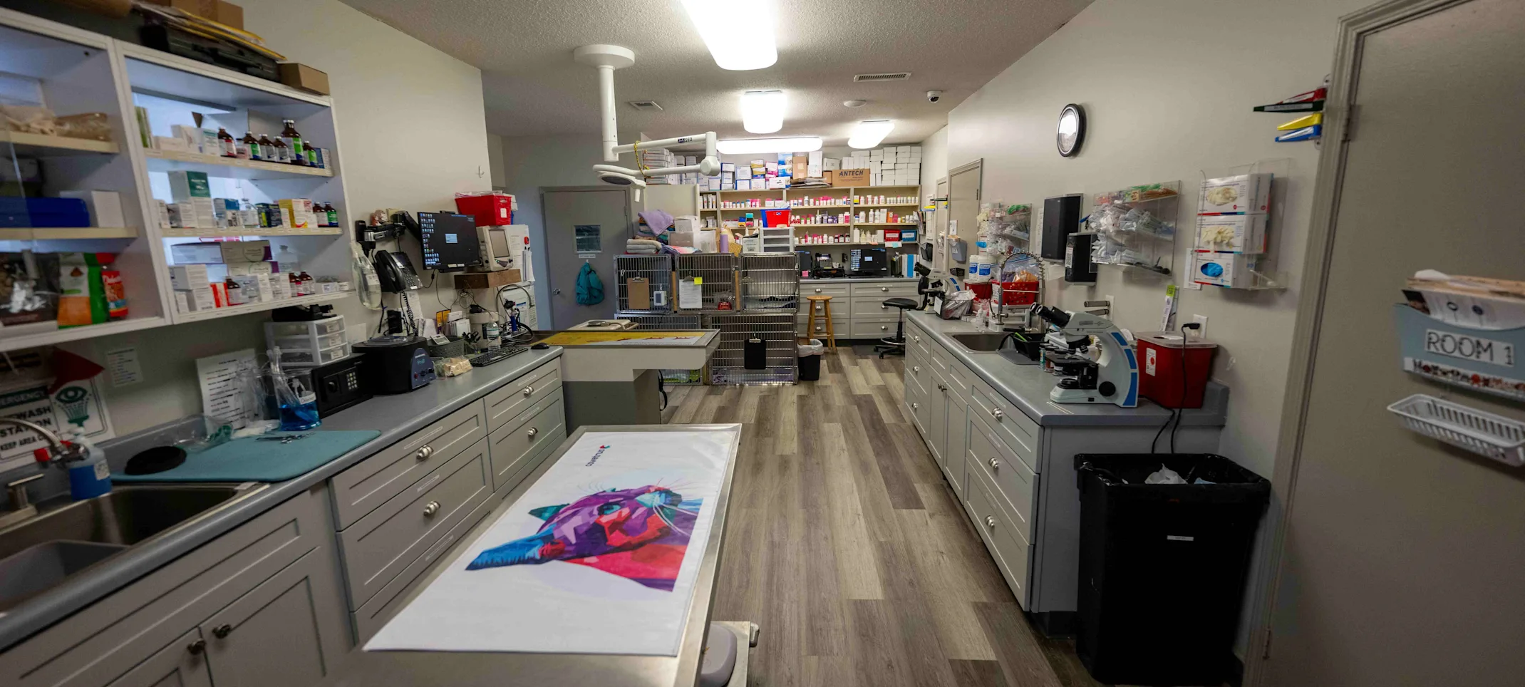 Treatment Area at Animal Medical Center - Tuscaloosa Treatment Area at Animal Medical Center - Tuscaloosa