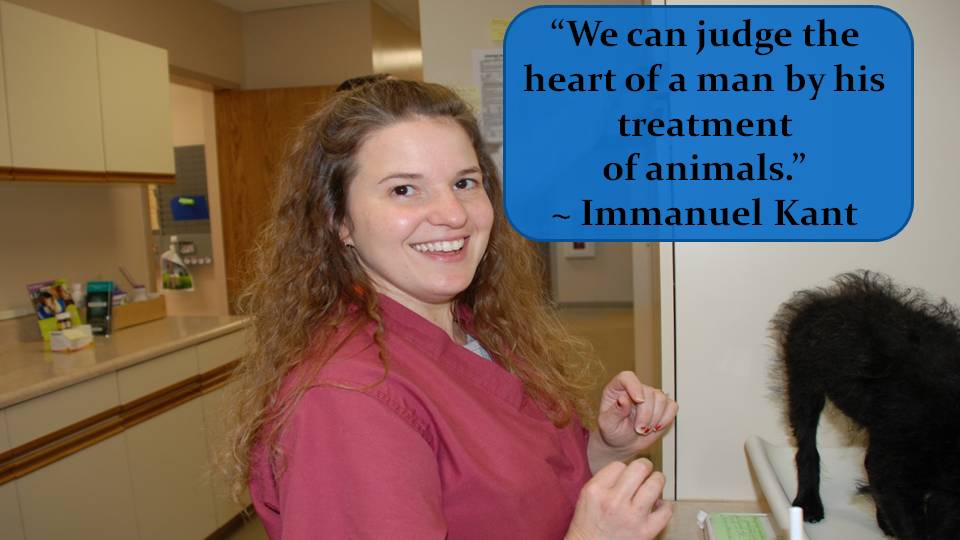 Vet treating small dog with immanuel kant quote