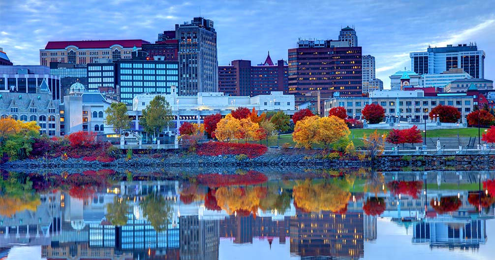 Living and Working Here Capital District Veterinary Referral Hospital