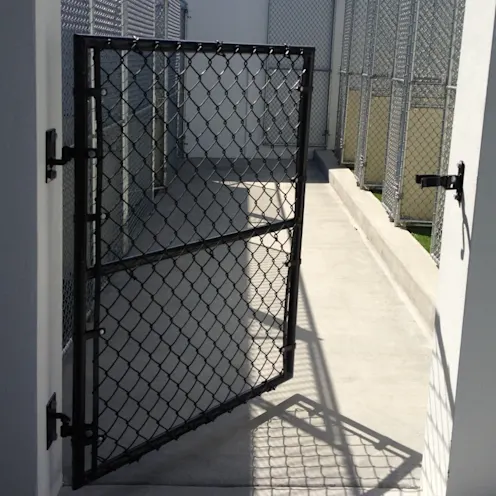Lauderdale Pet Lodge Outdoor Kennels Lauderdale Pet Lodge Outdoor Kennels