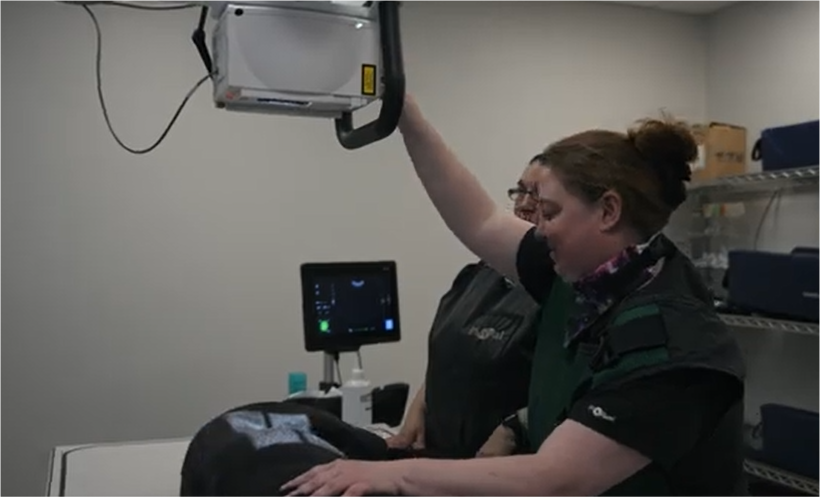 technicians performing xray