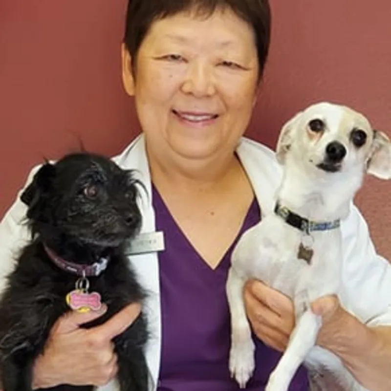 Dr. Lynn Vieyra holding two dogs Dr. Lynn Vieyra holding two dogs