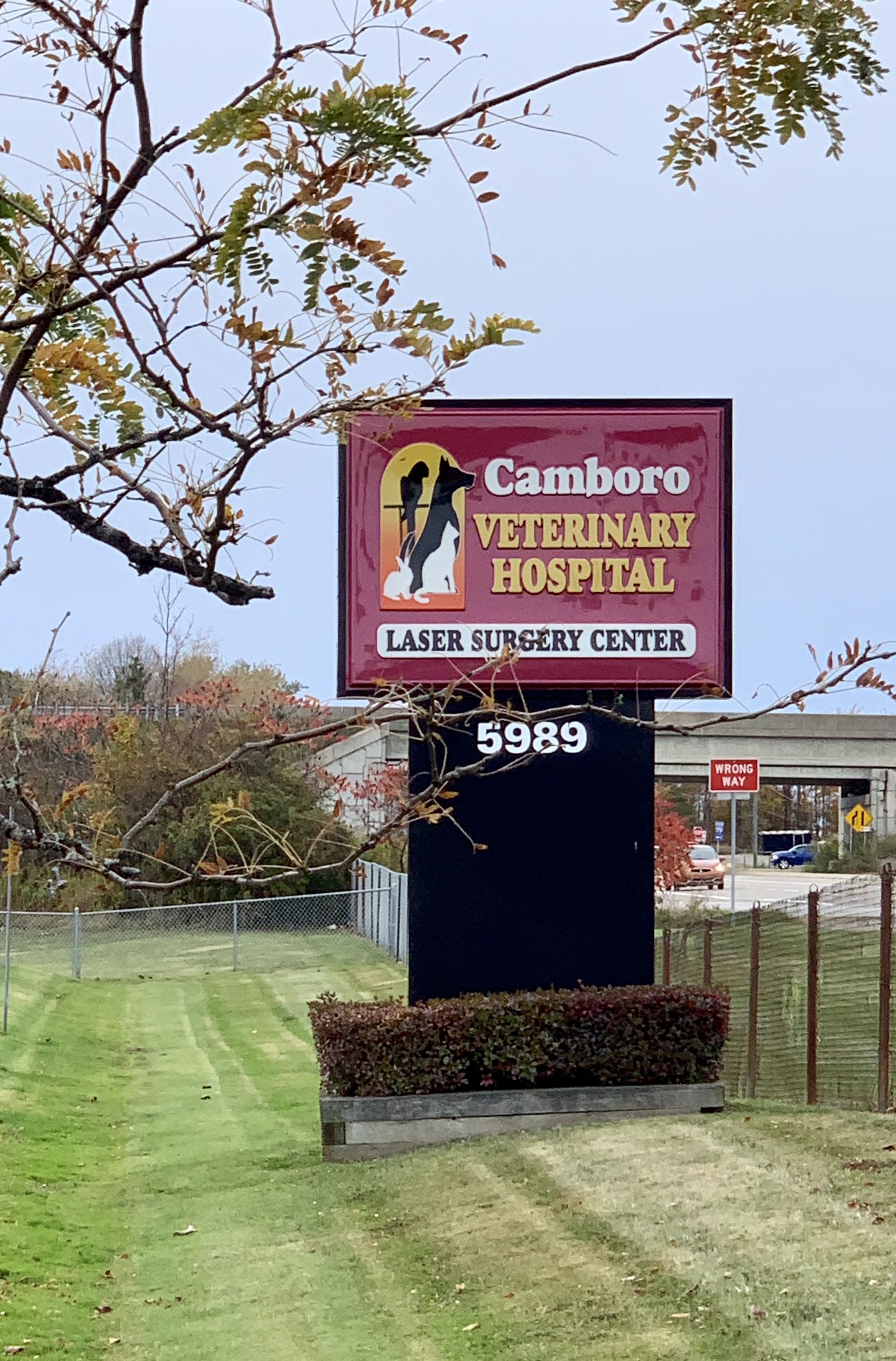 Marquis Exterior Sign of Camboro Veterinary Hospital