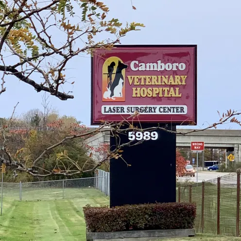 Marquis Exterior Sign of Camboro Veterinary Hospital