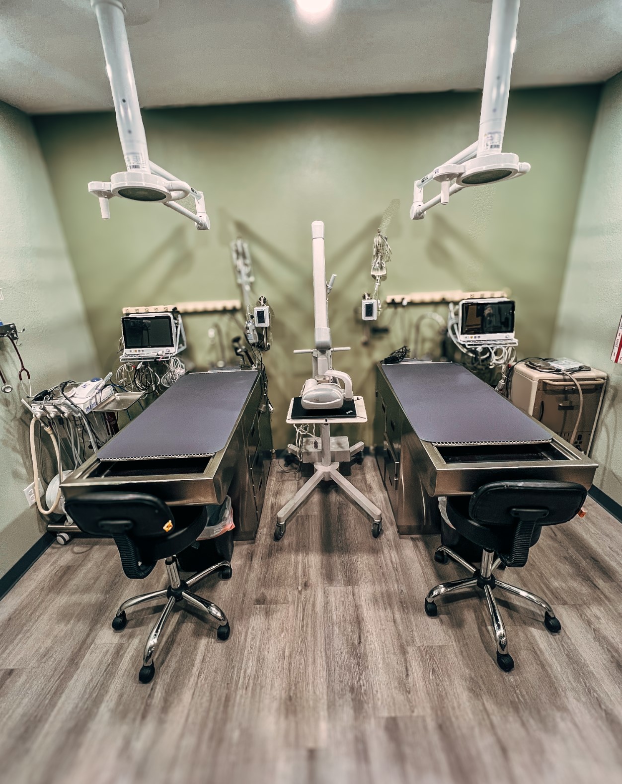 American Pet Hospital's Dental Suite