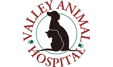 Valley Animal Hospital-HeaderLogo