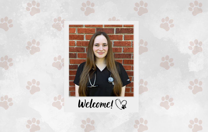 Dr. Madyson Marrs