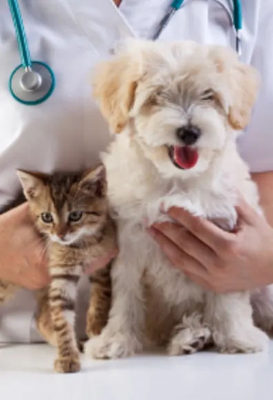 Veterinarian Holding Puppy and Kitten