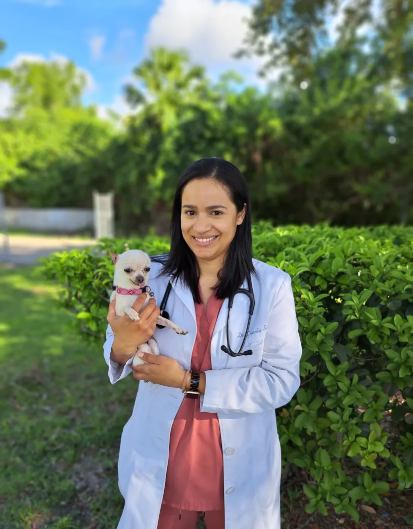 Dr. Connie Sawyer at McAbee Veterinary Hospital