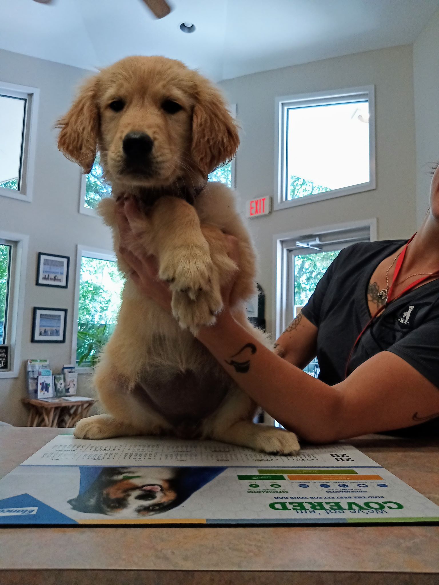 Hanover Regional Animal Hospital Lab