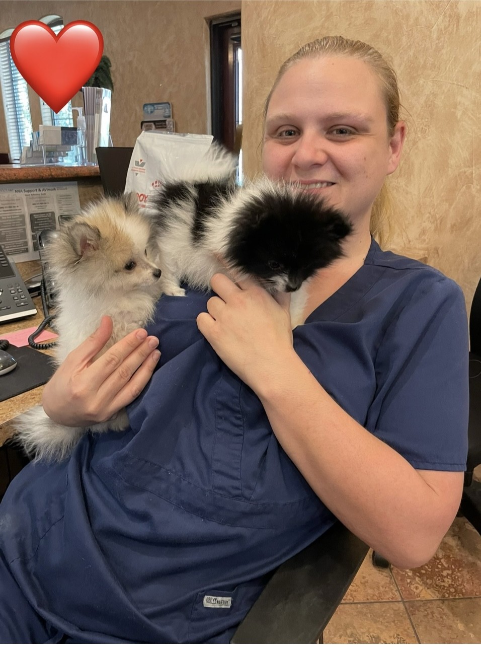 Staff member Erin holding Pomeranian puppies