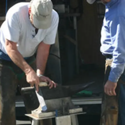 Shoeing Farrier Shoeing Farrier