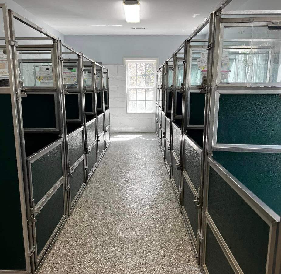 Updated renovated kennel area