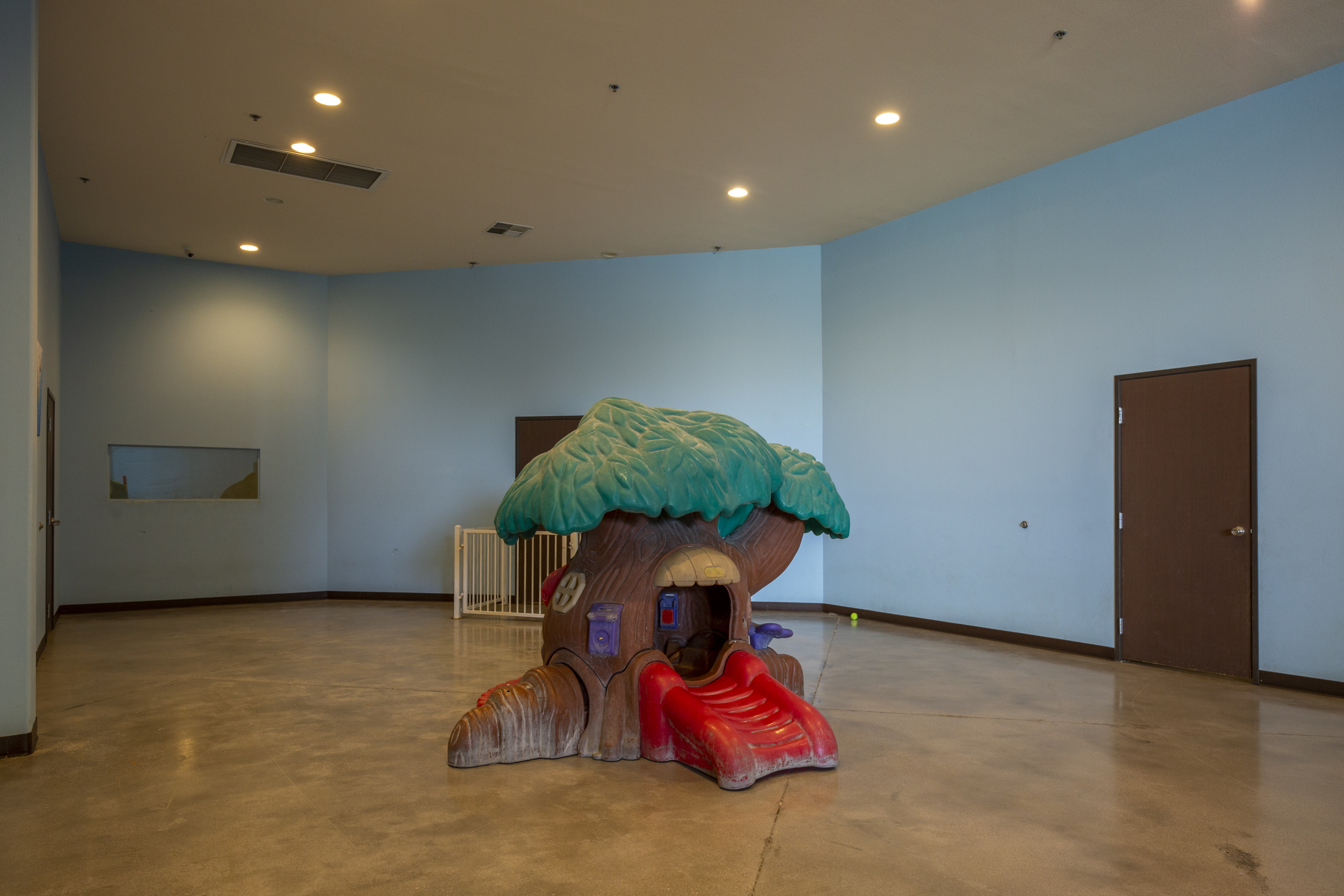 doggie indoor dog playground