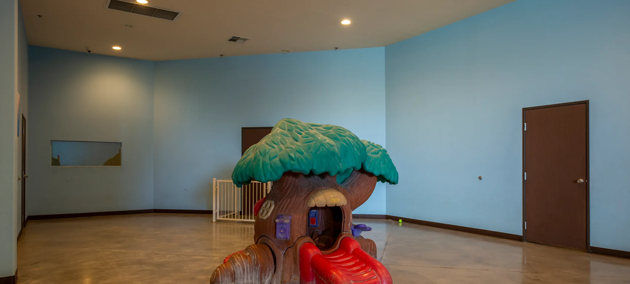 doggie indoor dog playground doggie indoor dog playground