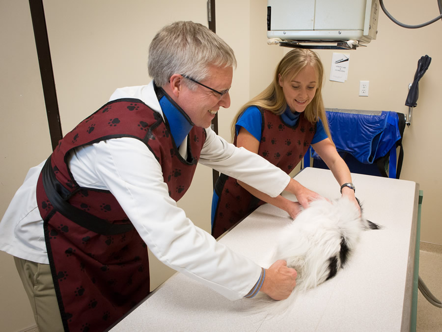 Park Veterinary Centre Xray