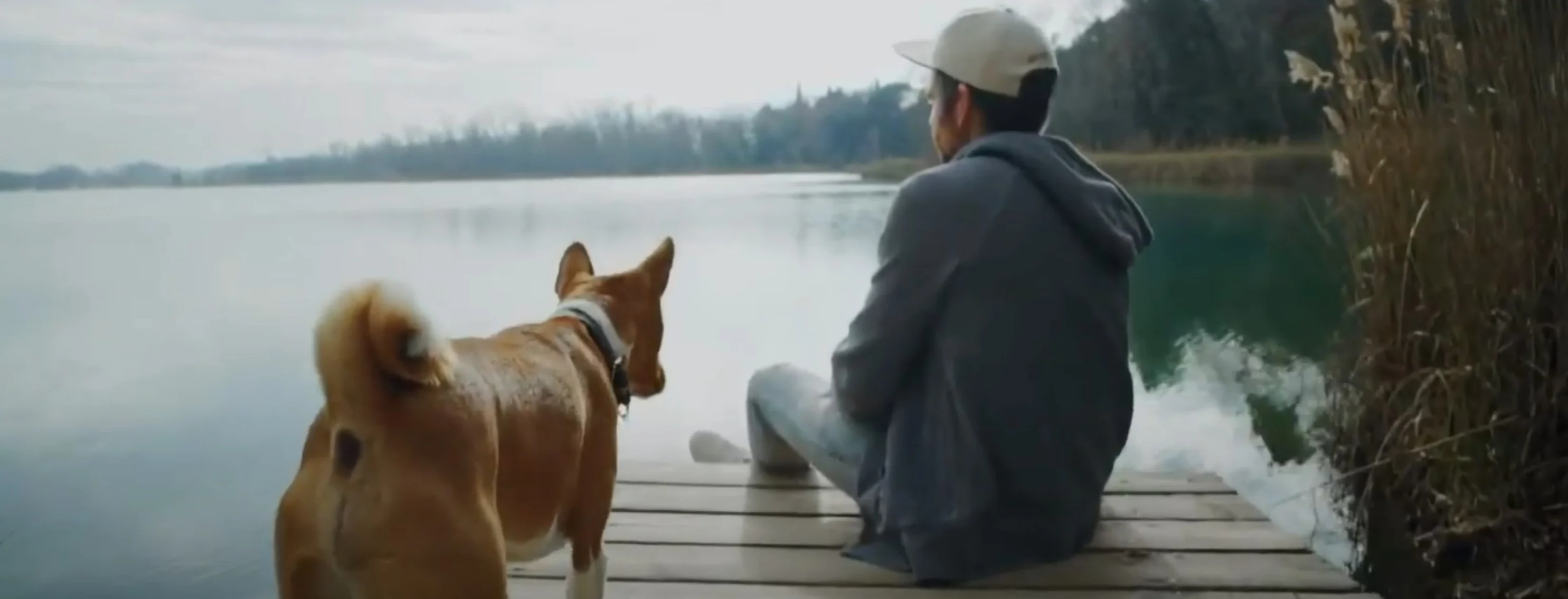 Dog Man Walking Dock