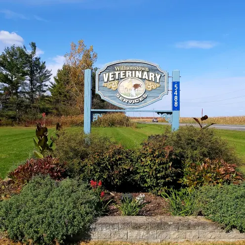 Williamstown Veterinary Services' sign