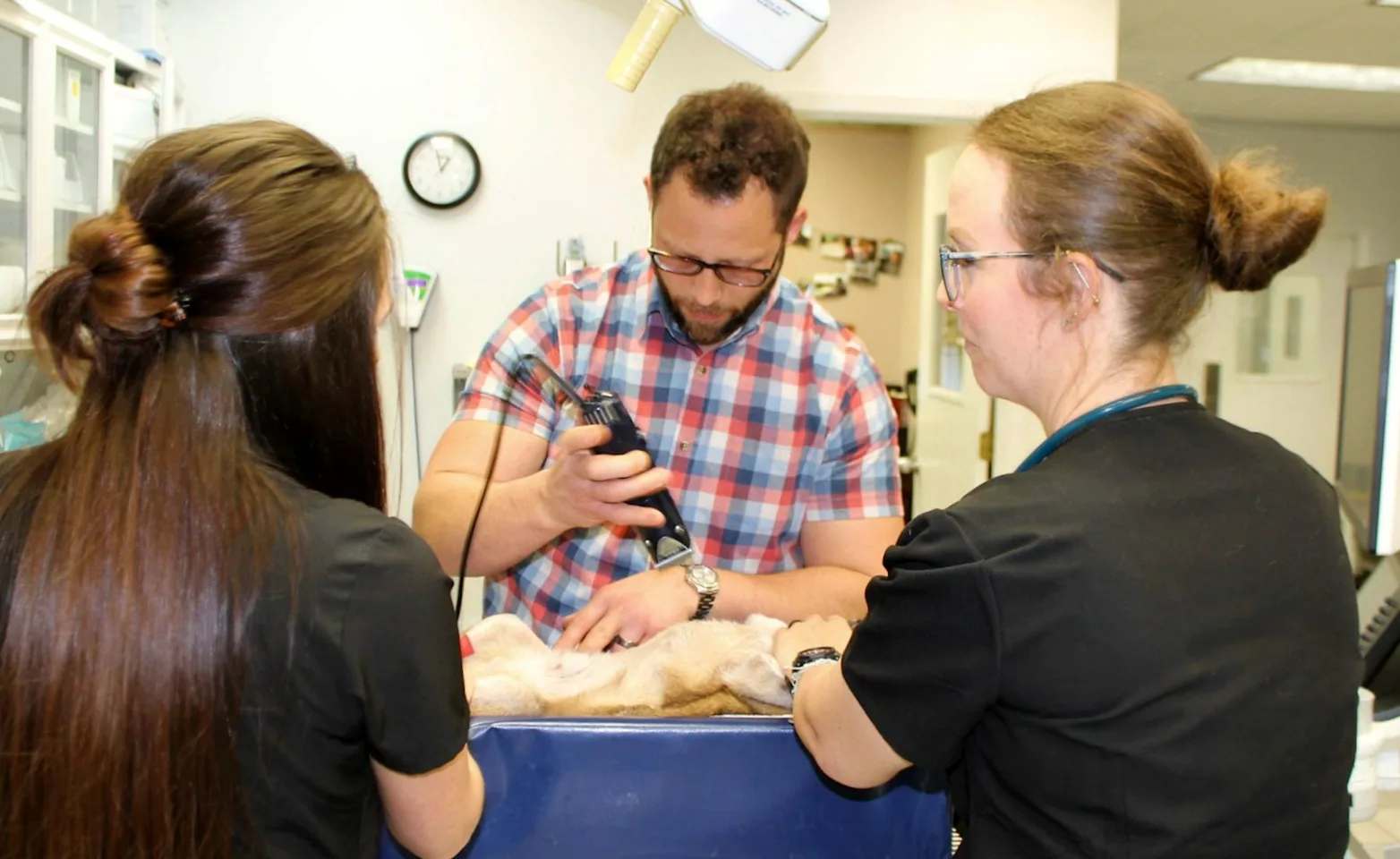 Dr. Beggs and two veterinary assistants examining a pet Dr. Beggs and two veterinary assistants examining a pet