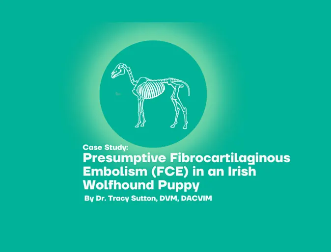 Fibrocartilaginous Embolism (FCE) Fibrocartilaginous Embolism (FCE)