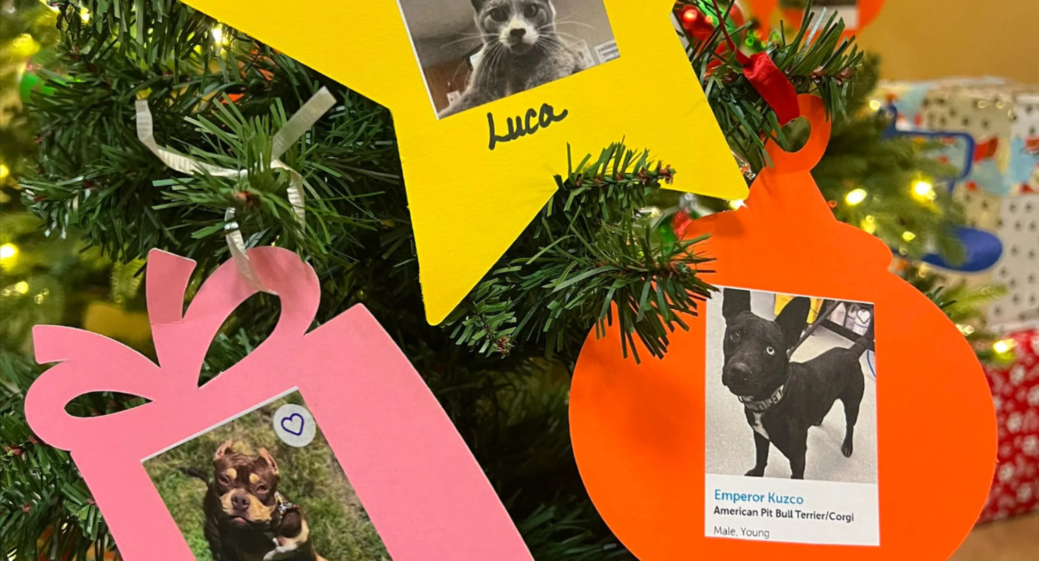 Handmade ornaments with photos of pets on them Handmade ornaments with photos of pets on them