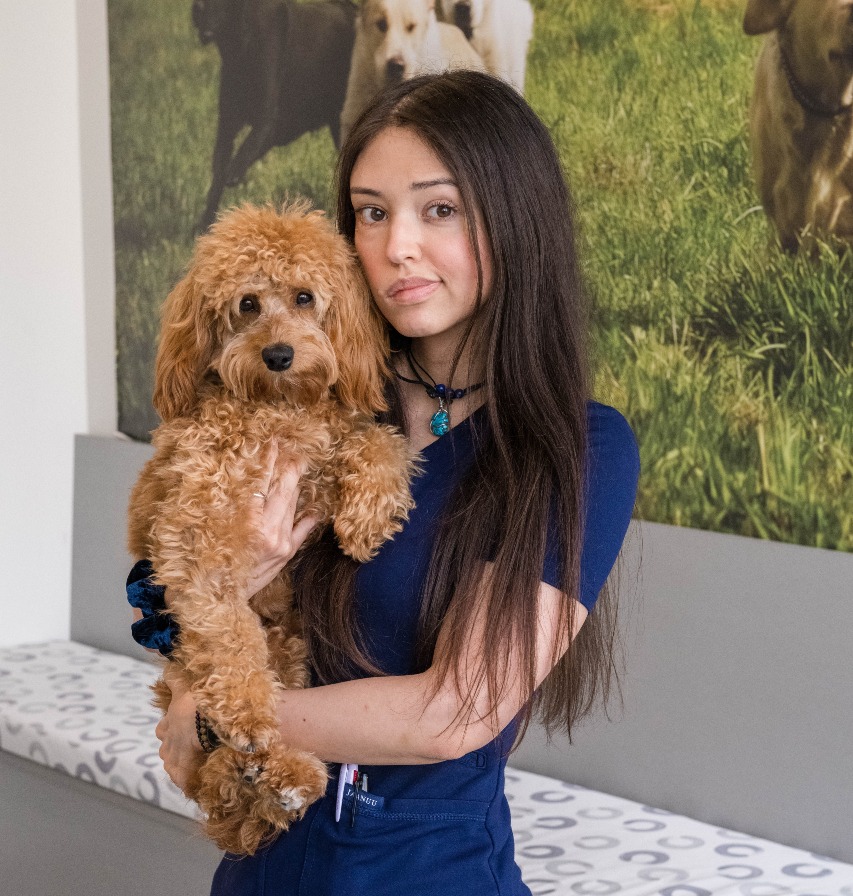 Yarene from Tribeca Soho Animal Hospital