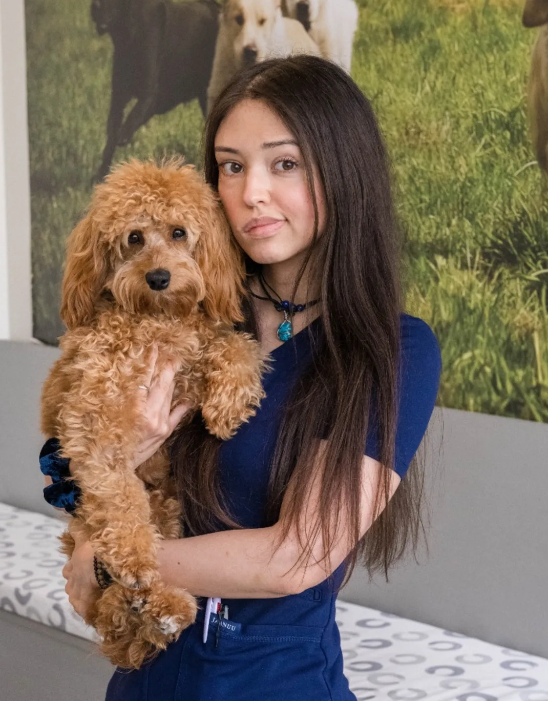 Yarene from Tribeca Soho Animal Hospital Yarene from Tribeca Soho Animal Hospital