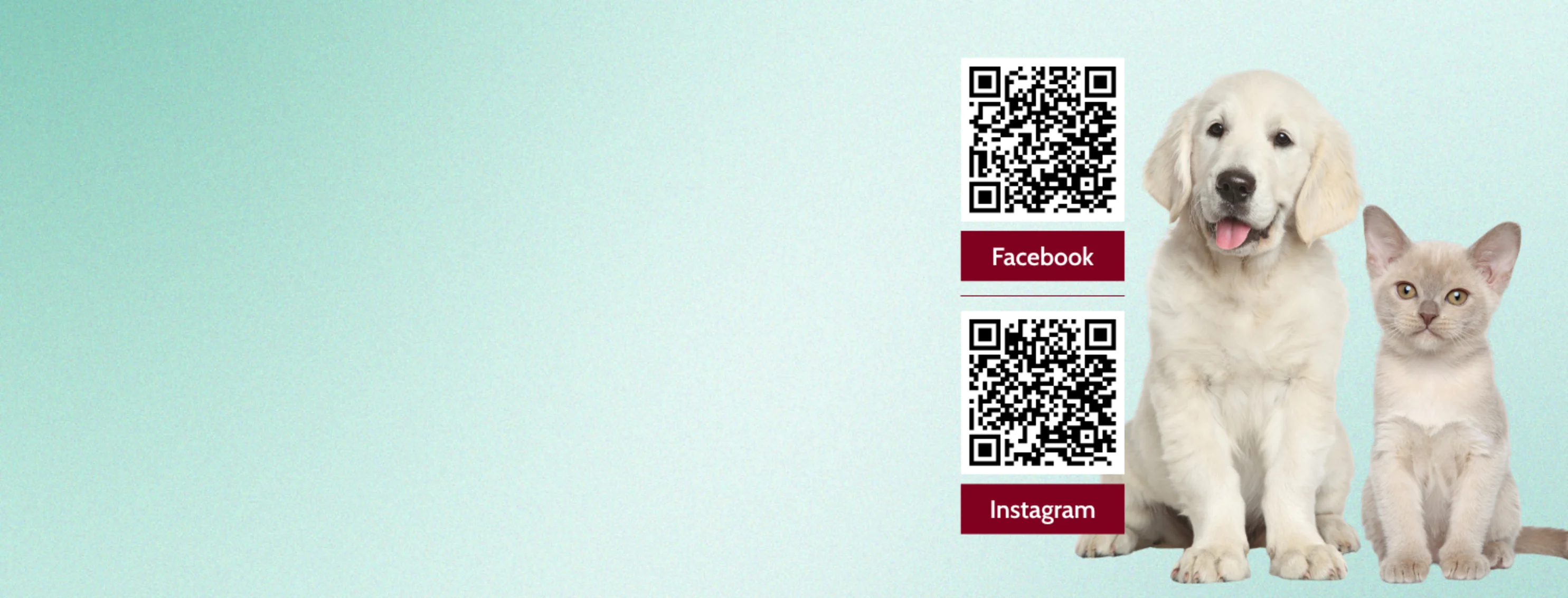 Facebook & Instagram QR Codes for Tsawwassen Animal Hospital Facebook & Instagram QR Codes for Tsawwassen Animal Hospital