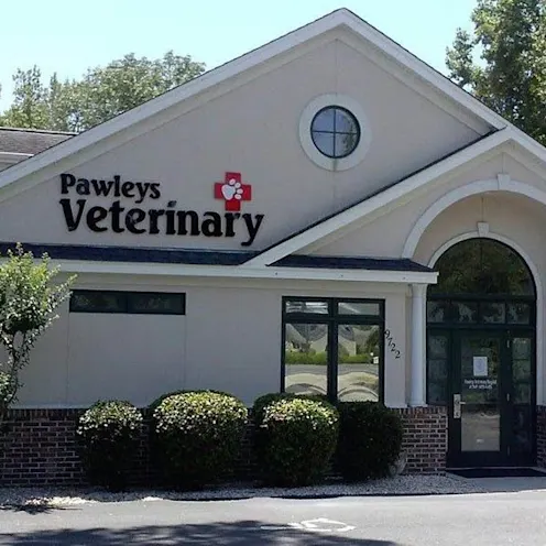 Pawleys Veterinary Hospital Front building entrance Pawleys Veterinary Hospital Front building entrance