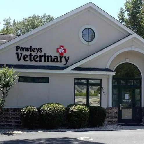 Pawleys Veterinary Hospital Front building entrance