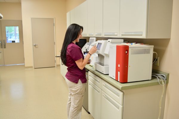 Staff member inside Companion Animal Hospital