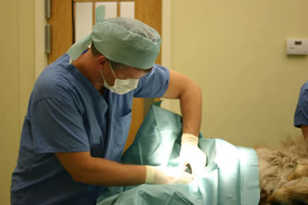 Surgeon in Surgical Suite