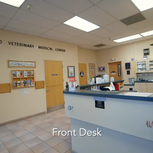 Front Desk at Mt. Diablo Veterinary Medical Center Front Desk at Mt. Diablo Veterinary Medical Center