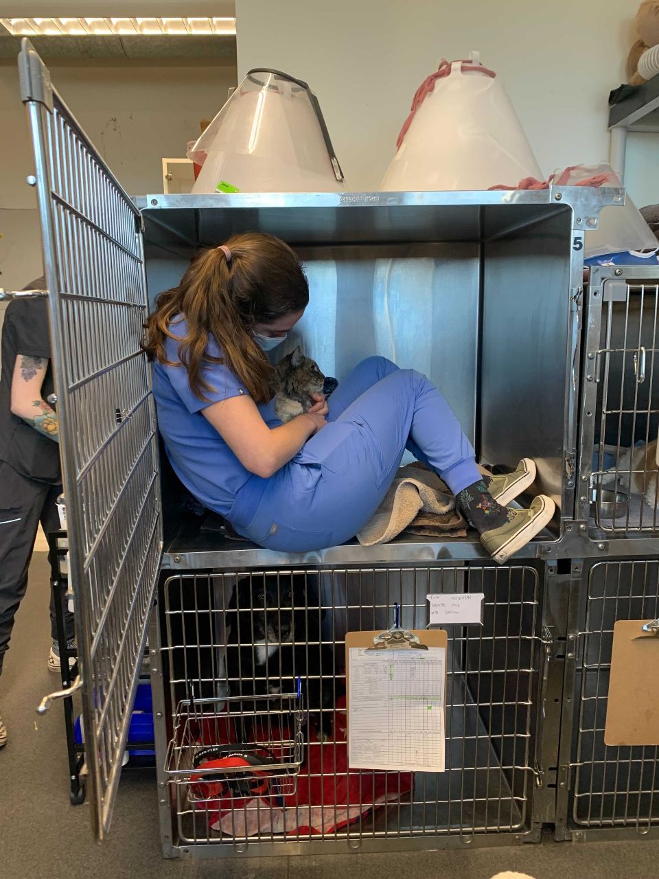 Staff in blue scrubs crouching inside a kennel.