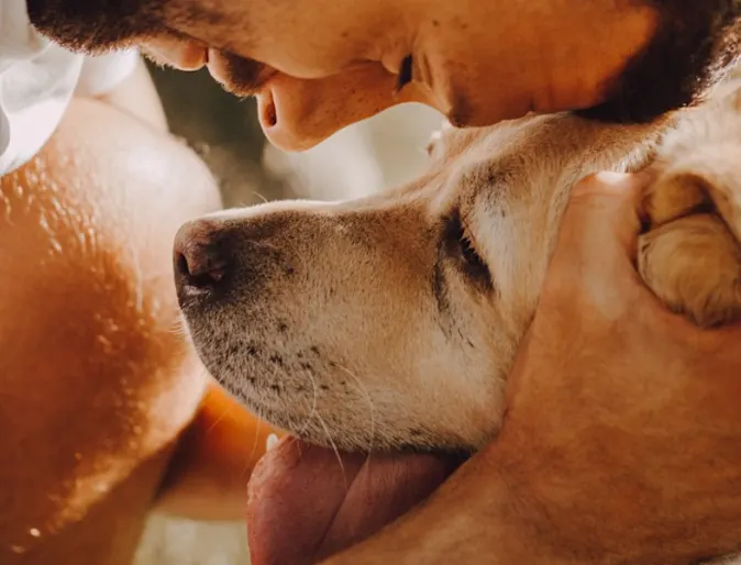 A dog owner pets his dog while visiting PetSuites. A dog owner pets his dog while visiting PetSuites.